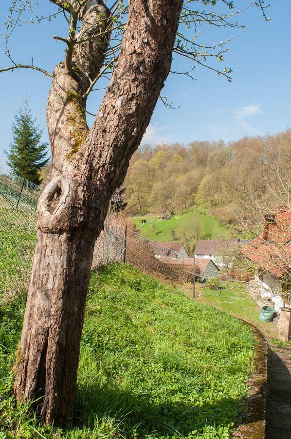 Platell Ferienhaeuser Harz Lerbach Luaran gambar